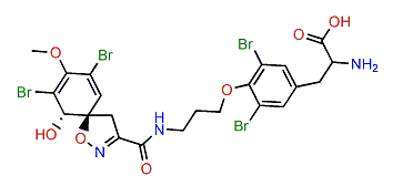 Ianthesine B